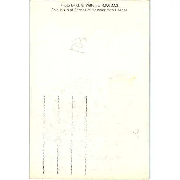 Photo by G.B. Williams. R.P.G.M.S Sold in Aid of Friends of Hammersmith Hospital - Picture 2 of 2